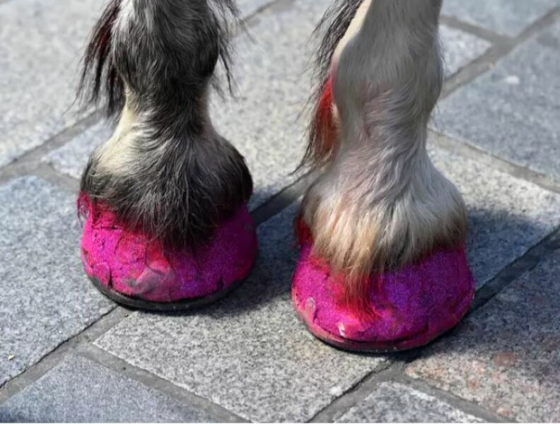Unicorn boots, can anyone help?