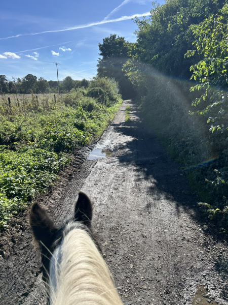 Adult new or returning riders part 2