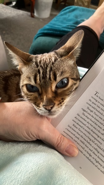 Thread 8 Starmer : Cat fur on new clothes