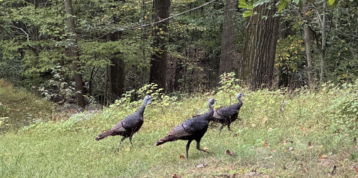 Come and tell me your dull and unexciting news 31: Calmly through the day