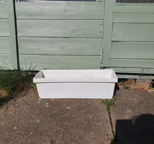 What have you done in the garden today? Part 6