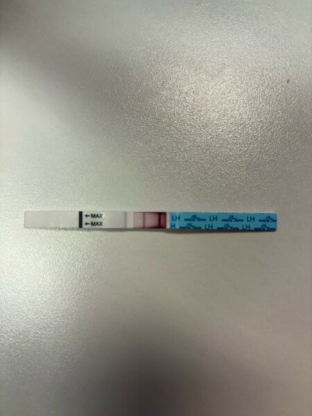 Strong Positive Ovulation Test - Negative Pregnancy Test