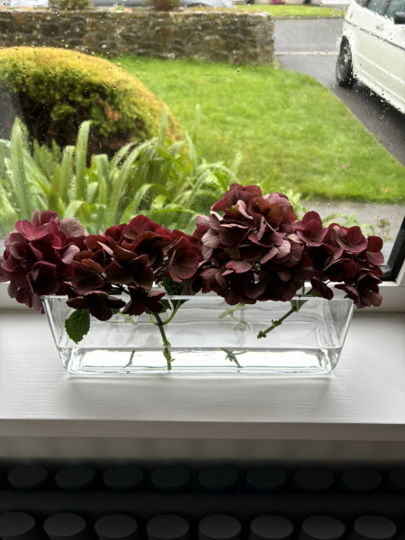 The Autumnal Christmas Chronicles Preamble thread