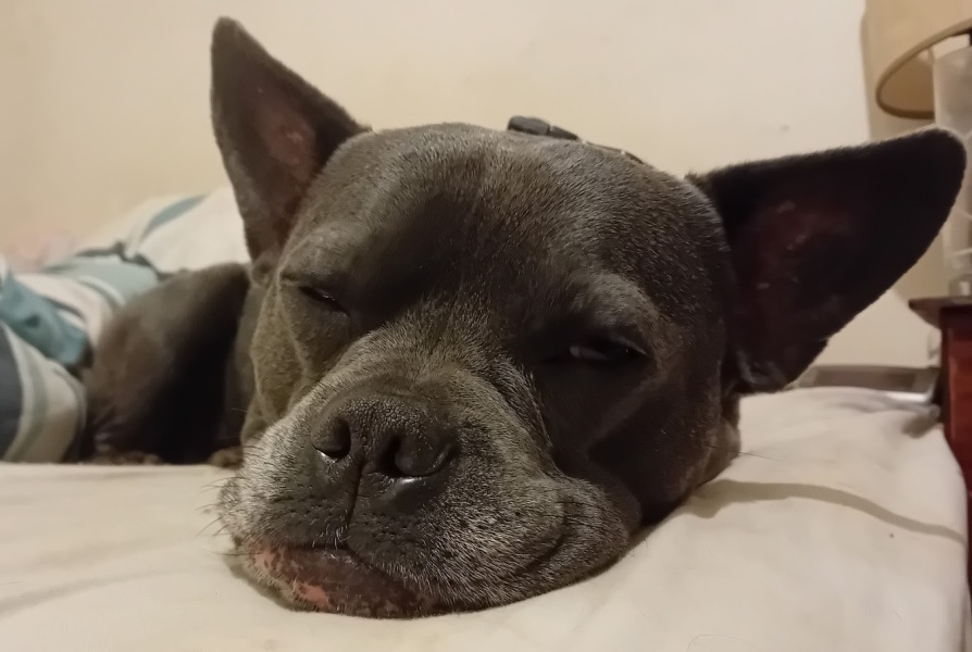 The Continuing Support Thread for Anyone Trying to Lead an Alcohol-Free Life Autumn 2024