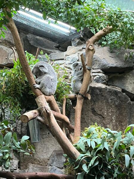 2 days in Edinburgh with 2 teens and their slightly disabled mum