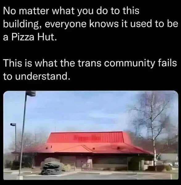 Why do all trans discussions end in a bun fight?