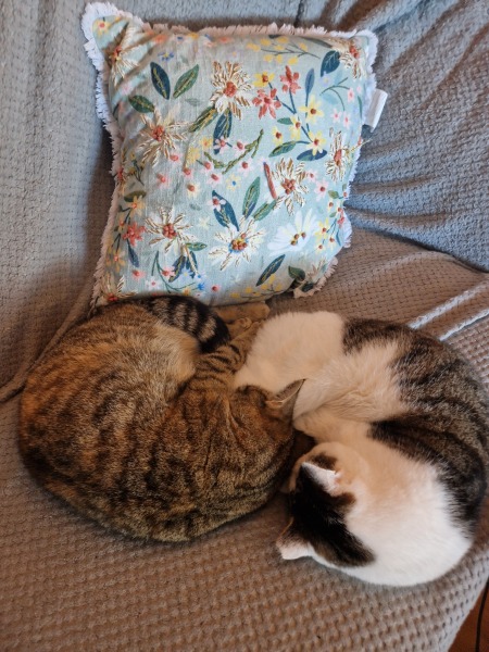 The Autumnal Christmas Chronicles Preamble thread