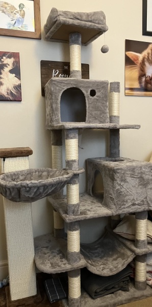 Cat Trees