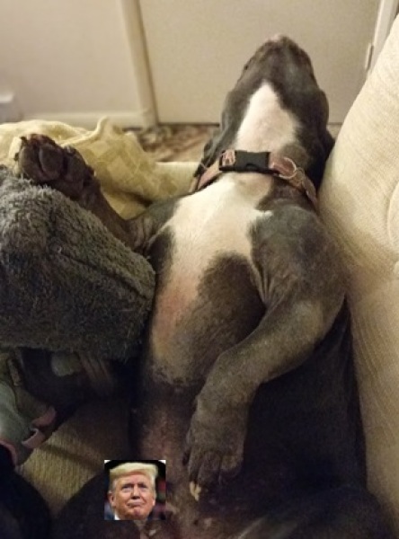 The Continuing Support Thread for Anyone Trying to Lead an Alcohol-Free Life Autumn 2024