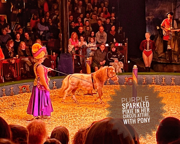 Les Bas Bleus, The Bluestocking...