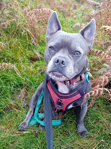 The Continuing Support Thread for Anyone Trying to Lead an Alcohol-Free Life Autumn 2024