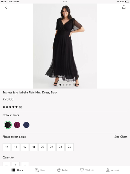 Help me find the perfect dress..