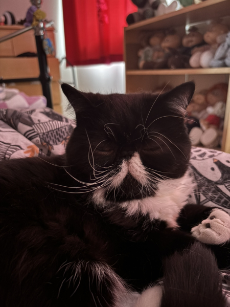 Magnificent Moustaches