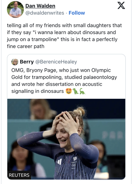 To buy 3 year old DD dinosaurs for Christmas?