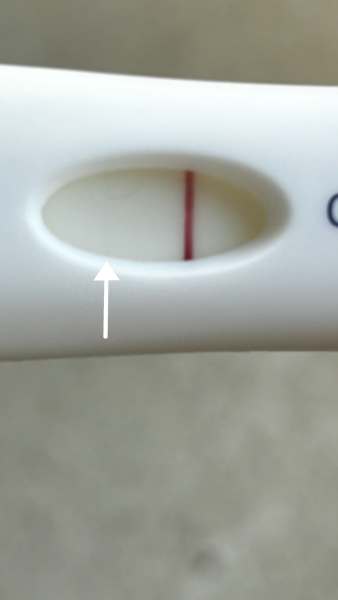6dpo