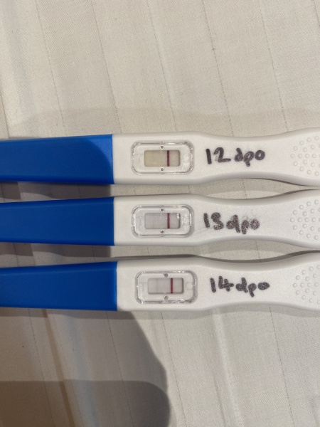 Clear blue evap or positive?