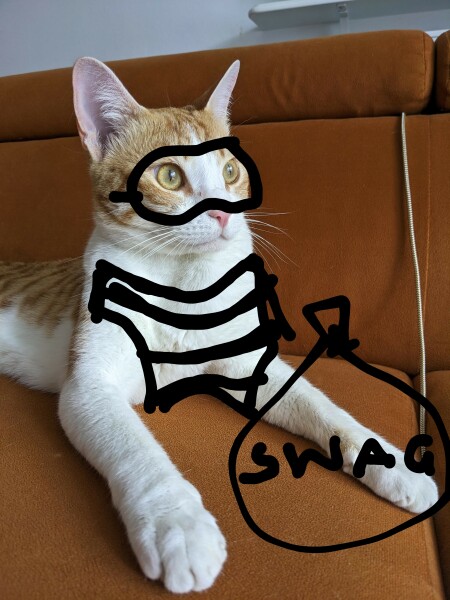 Cat burglar!