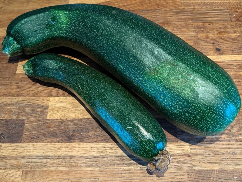 The Vegetable Patch 2024/2025