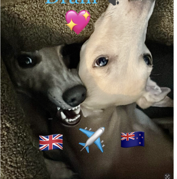 Husband abandoned me and two kids by text message and emigrated to New Zealand