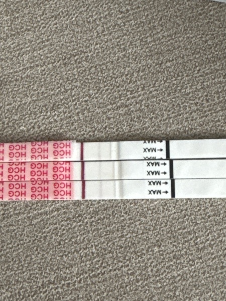 Tests
