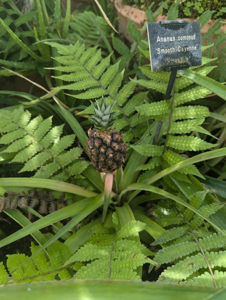 Things you assumed and were astonished to find out you were completely wrong