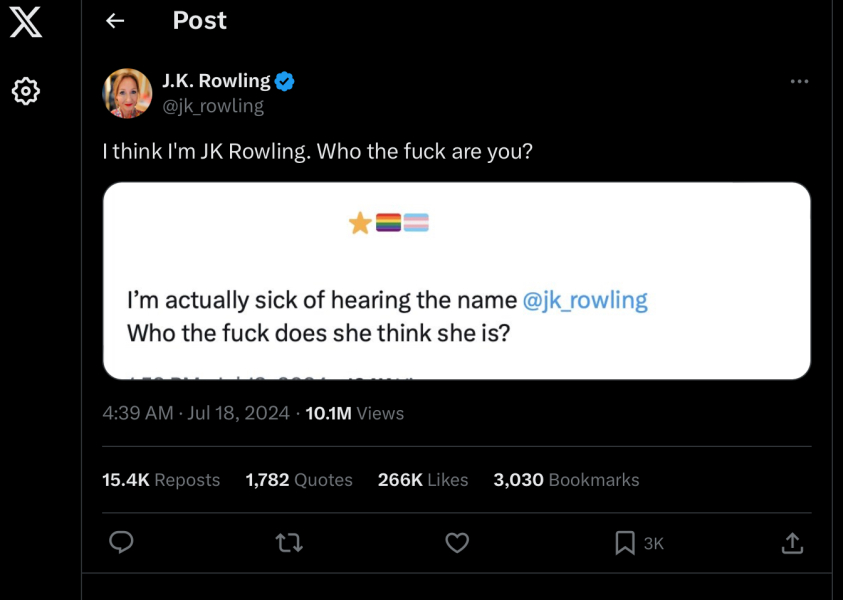 ‘JK Rowling wants me fired. I just want to help rape survivors’