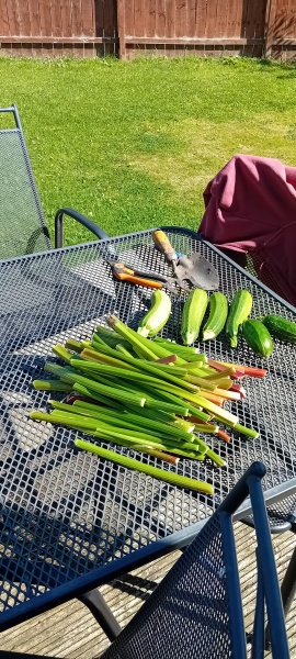 The Vegetable Patch 2024/2025