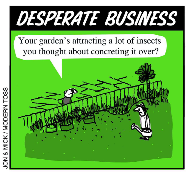 Cockroaches in garden