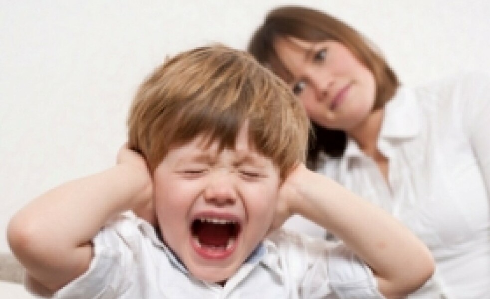 De los terribles a los maravillosos dos