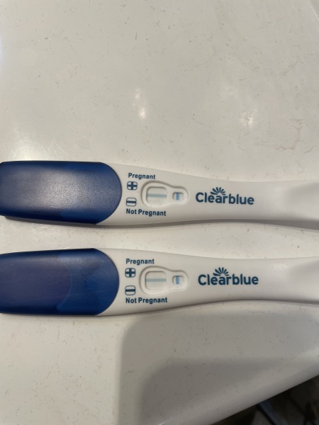 Pregnant or not ? Clear blue