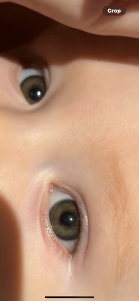 What colour would you say this is?
