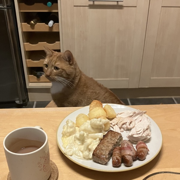 Flounders or Flouncers? The Excellent Cats continue their important debate