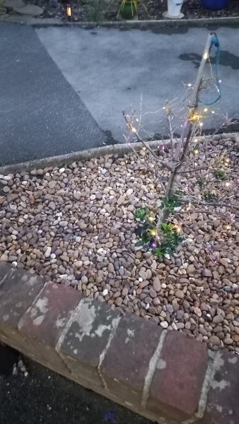 To think my neighbours win a prize for being the first people to