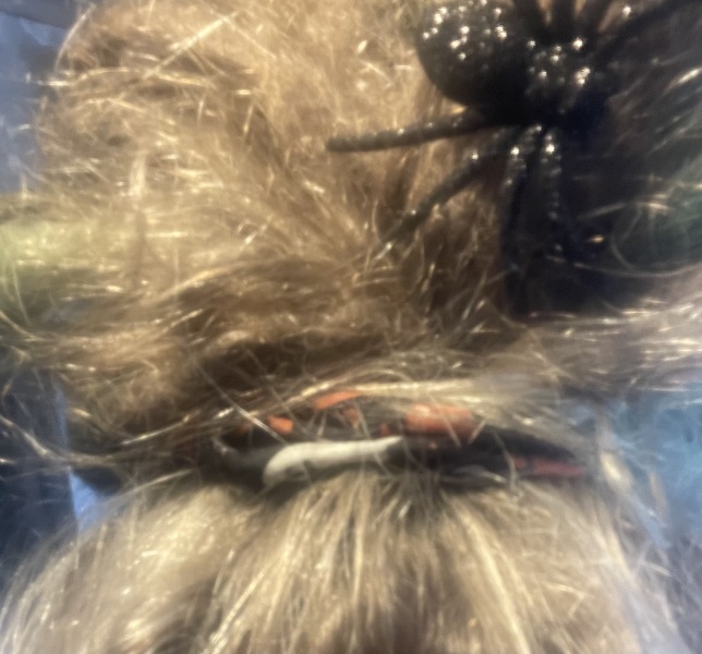 Fat Girl Summer 2 Electric Boogaloo💅☀️