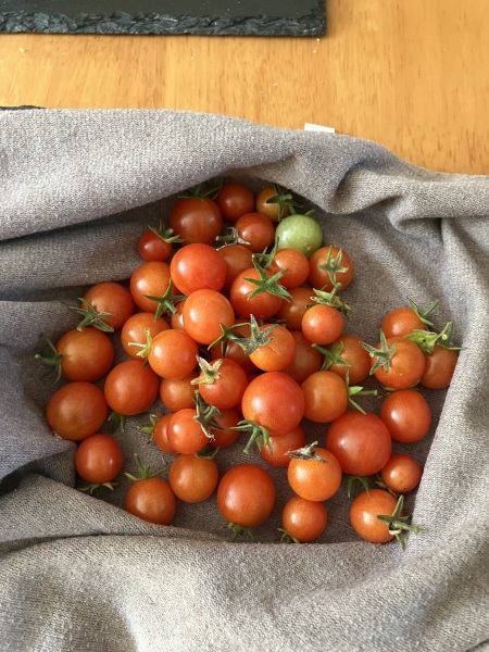 The Autumnal Christmas Chronicles Preamble thread