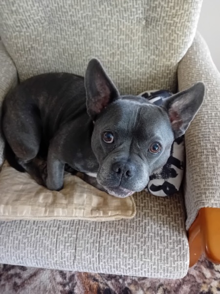 The Continuing Support Thread for Anyone Trying to Lead an Alcohol-Free Life Autumn 2024