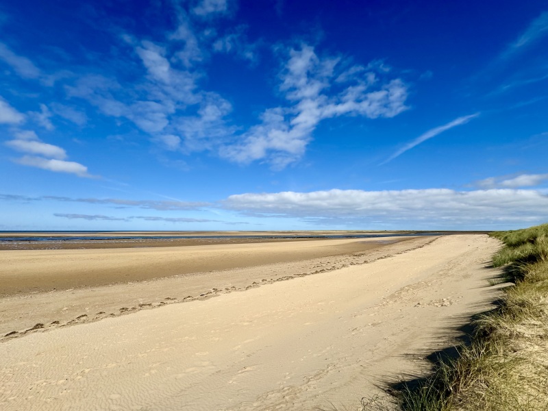 🍁LOSE IT!🍁 Start-Over September 2024🍁