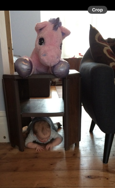 Christmas bargain prequel 4 - the most we have ever had!