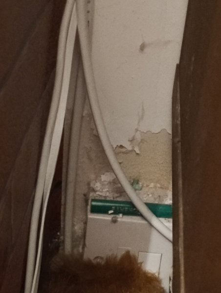 Rising damp advice please