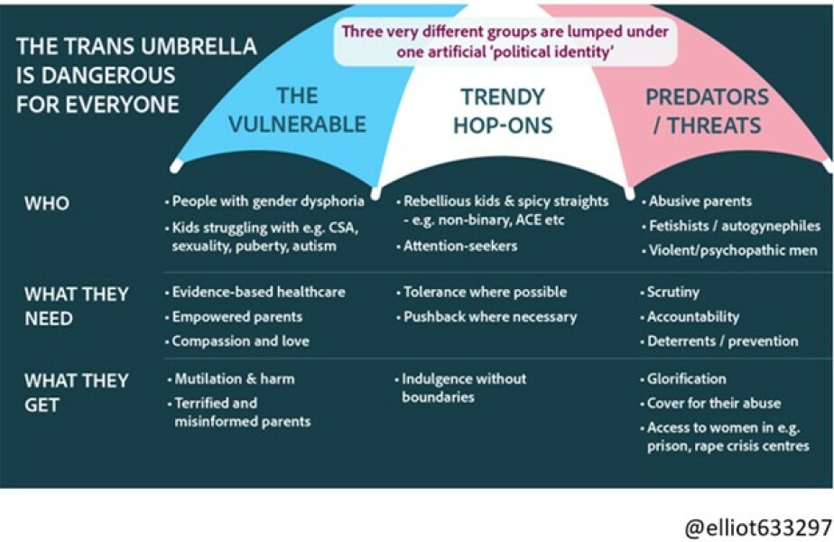 Moira Deeming defamation trial - Thread 2 from Australia