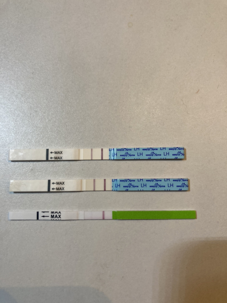 Am I ovulating? Pics included