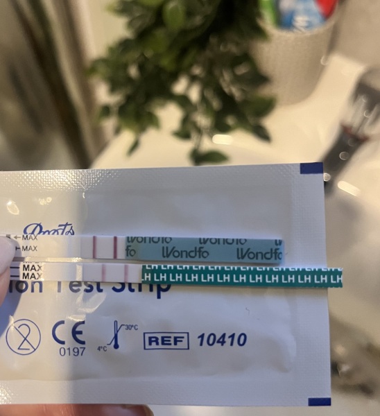 Are this OPKs positive?