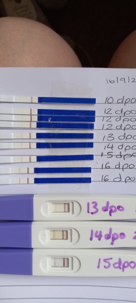 TWW buddies? Ovulated on the 3rd!