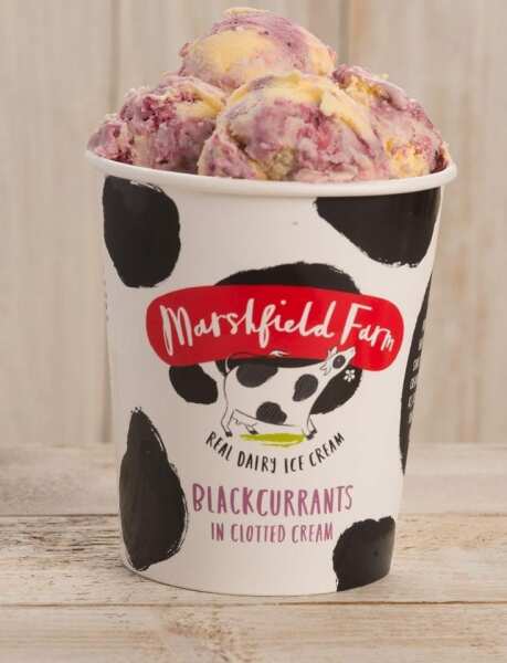 To ask what is your favourite ice cream flavour ?