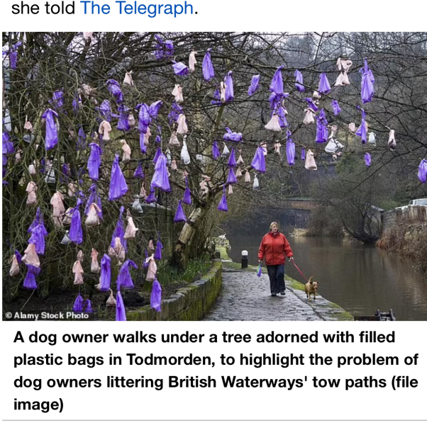 To ask why people hang poo on trees?