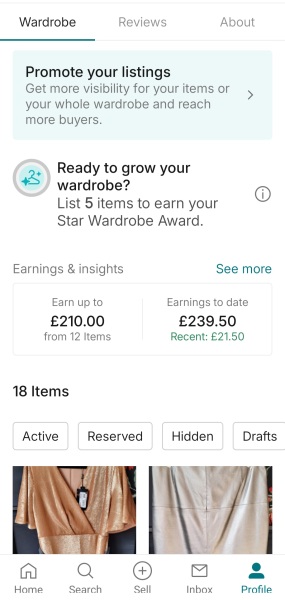 Help with Vinted