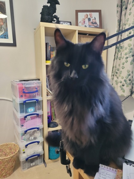 Thread 7 Starmer : Cats and Conferences