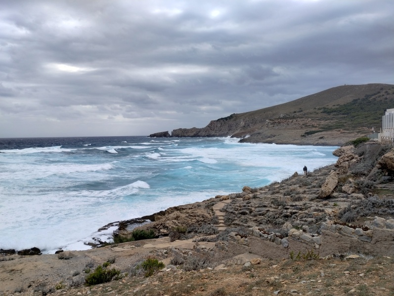 Thread 52 - Covid GCSE Cohort - Autumn 24 - Start of Uni Yr 3