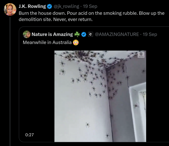 Les Bas Bleus, The Bluestocking...