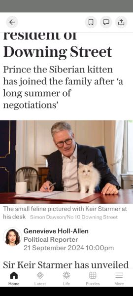 Flounders or Flouncers? The Excellent Cats continue their important debate